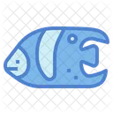 Angelfish  Icon