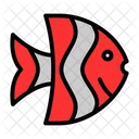 Angelfish  Icon