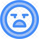 Angry  Icon