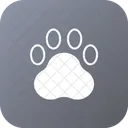 Animal  Icon