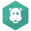 Animal  Icon