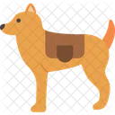 Animal  Icon