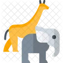 Animal Day  Icon