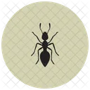 Ant  Icon