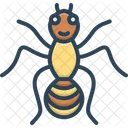 Ant  Icon