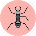 Ant  Icon