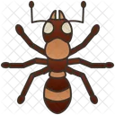 Ant  Icon