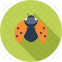 Antivirus Bug Danger Icon