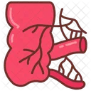 Appendix Pain Tube Icon