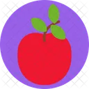 Apple Food Fruit Icon