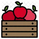 Apple Basket Fruit Icon