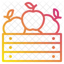 Apple Basket Fruit Icon