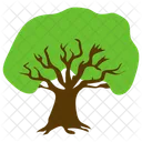 Apple Tree Fruit Icon