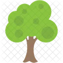 Apple Tree Fruit Icon