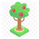 Apple Tree  Icon