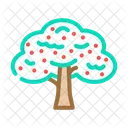 Apple Tree  Icon