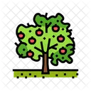 Apple Tree  Icon