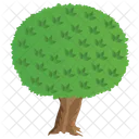 Apple Tree  Icon