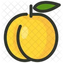 Apricot  Icon