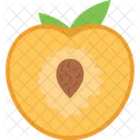 Apricot Food Fruit Icon