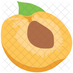 Apricot  Icon