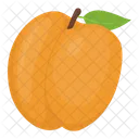 Apricot  Icon