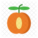 Apricot  Icon