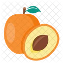 Apricot  Icon