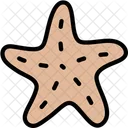 Aquatic Starfish Sea Icon