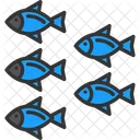 Aquatic Animal Fish Icon