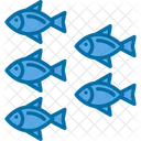 Aquatic Animal Fish Icon