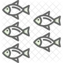 Aquatic Animal Fish Icon