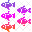 Aquatic Animal Fish Icon