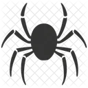 Arachnid  Icon