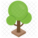 Arbol Planta Bosque Icono