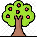 Arbol Icono