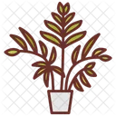 Areca palm  Icon