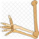 Arm Skeleton Hand Symbol