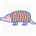 Armadillo  Icon