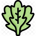 Arugula  Icon