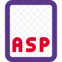 Asp File  Icon