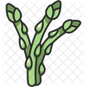 Asparagus  Icon