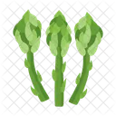 Asparagus  Icon