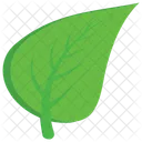 Leaf Plant Nature Icon