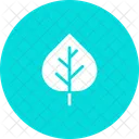 Aspen Nature Leaf Icon