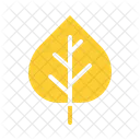 Aspen Nature Leaf Icon