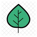 Aspen Nature Leaf Icon