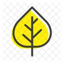 Aspen Nature Leaf Icon