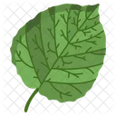 Aspen Leaf  Icon