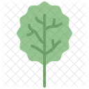 Aspen leaf  Icon